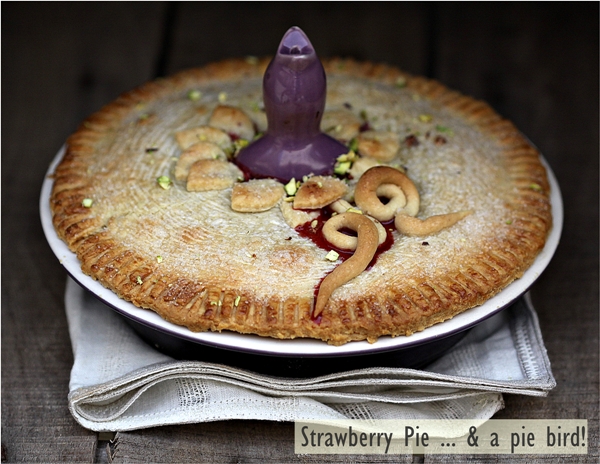 Strawberry-Pie-...-a-pie-bird-2.jpg